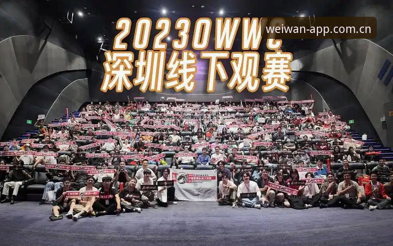 微玩体育推荐 世界杯观赛困境VS创新解决方案:微玩体育平台如何重塑赛事体验